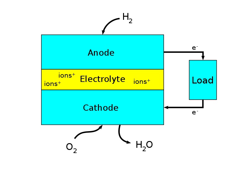 Fuel Cell Engine